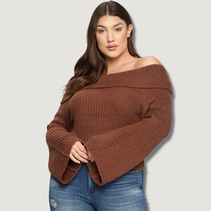 Jane Brown Knit Long Sleeve Sweater (plus size)