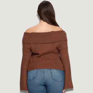 Jane Brown Knit Long Sleeve Sweater (plus size)