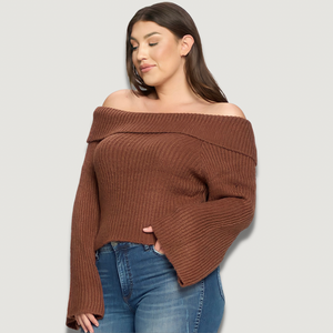 Jane Brown Knit Long Sleeve Sweater (plus size)